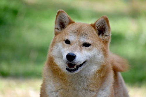 I